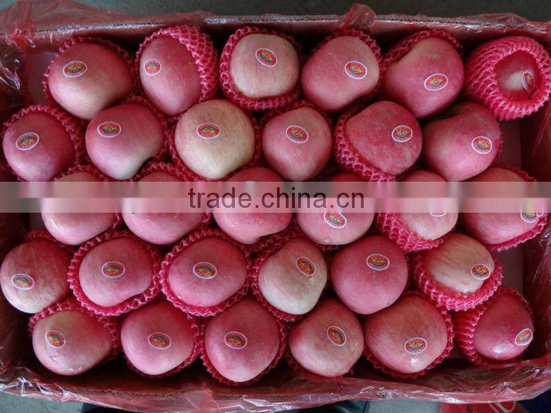 New Crop Fresh Fuji Apple