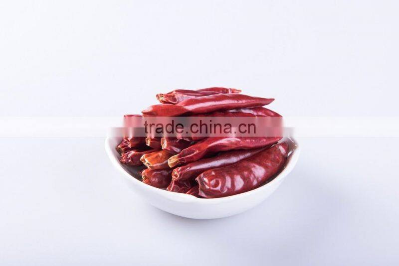 International Price Dried Hot Red Chilli Pepper