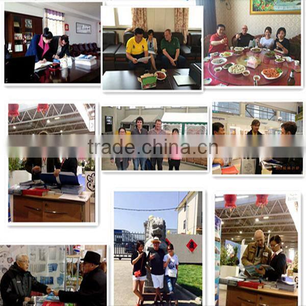 Large Building PVC Shed