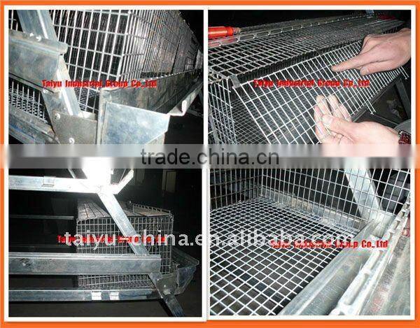 Taiyu-1 quail cages ( Professional Manufacturers )