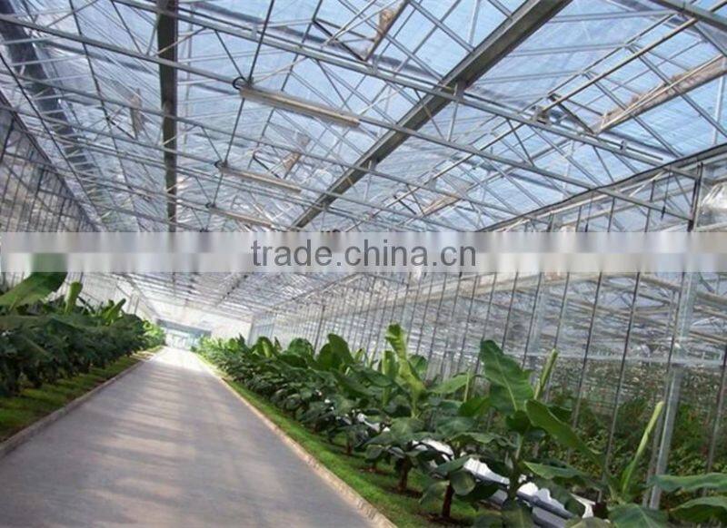 UV resistance flower greenhouses,farm hothouses, glasshouse big shed made in China