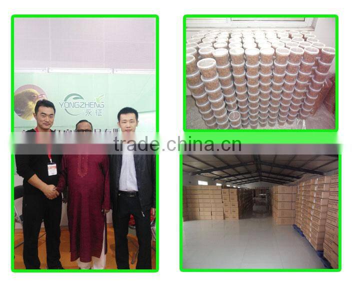 China Best dried cricket