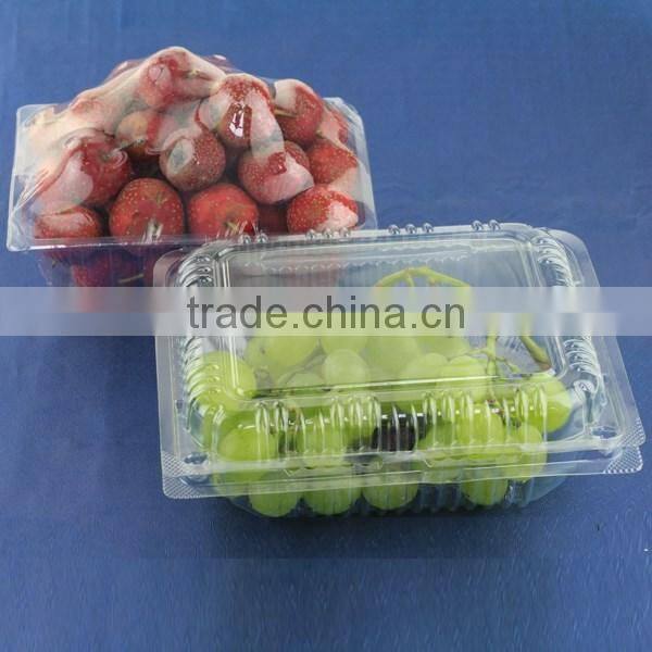 2016 plastic blister tray for packing salad/fruits/vegetables