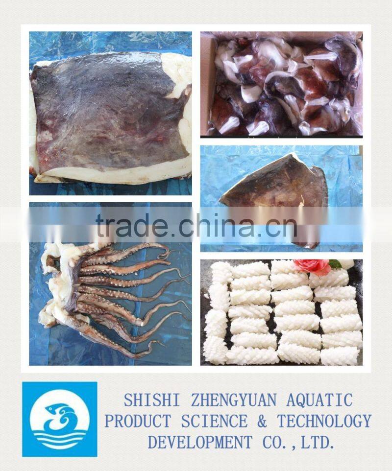 Zhengyuan Aquatic Frozen Giant Squid Head
