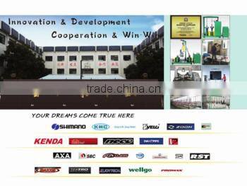 High Quality Electric ATV Fat Tire High Power 48V 500W Electric Fat Bike with