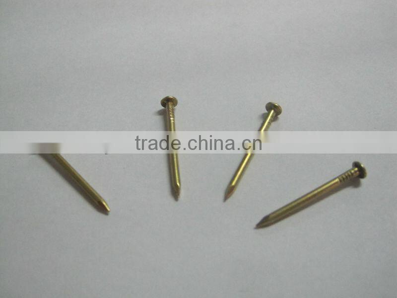 Antique smooth brass color iron nail,Copper nails