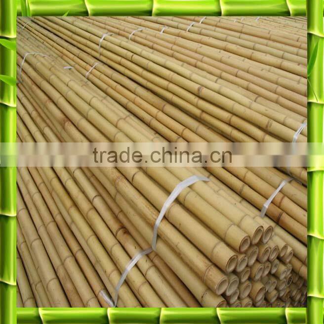 Wholesale natural straight bamboo poles
