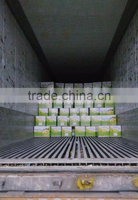 Fresh citrus fruits /Yellow Eureka Fresh Lemon