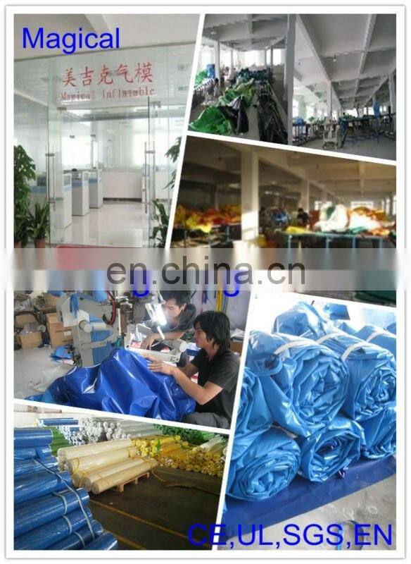 Attractive Sea World Printing Inflatable Bouncer Price