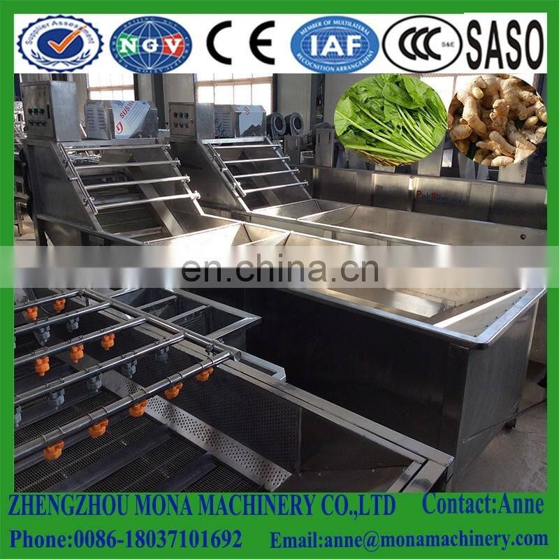 Surfing type vegetable washing machine| stainless steel fruit and vegetable washing machine with CE