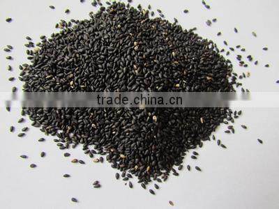 Sesame Seeds Cleaning and Stoving Machine|Sesame Seed Washer and Dryer