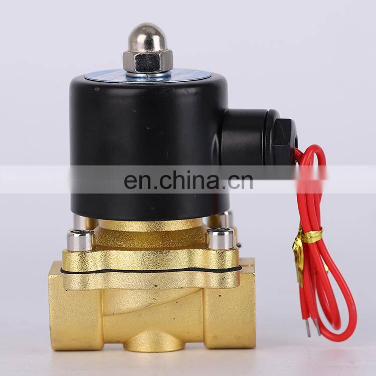 2W200-20 DC12/24V Normally Closed Type Direct Acting AC36/110/220/380V Electric Brass Solenoid Valve Price For Water