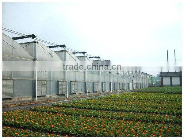 cheap poly greenhouse