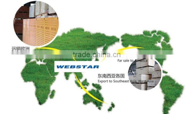 3,4,5 persons, small, comfortable and luxurious passenger elevator