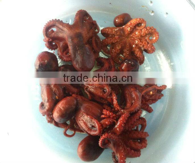 Frozen octopus fish
