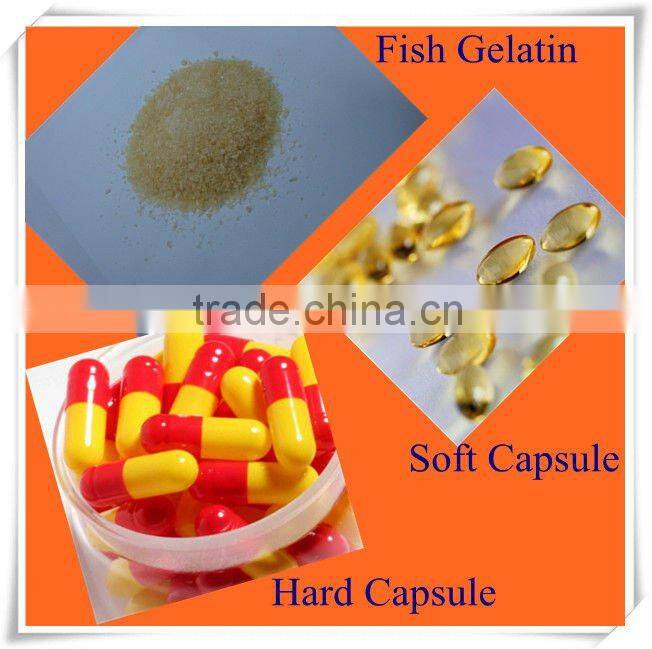 halal edible gelatin,edible gelatin powder