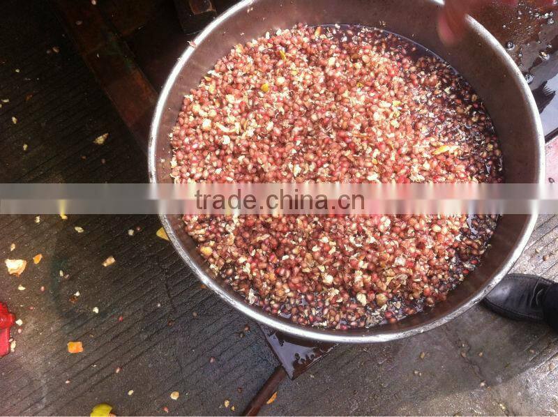 Pomegranate seed and juice machine
