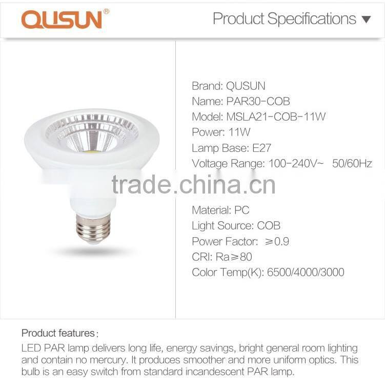 CE ROHS COB par30 LED Par Light spot lights led