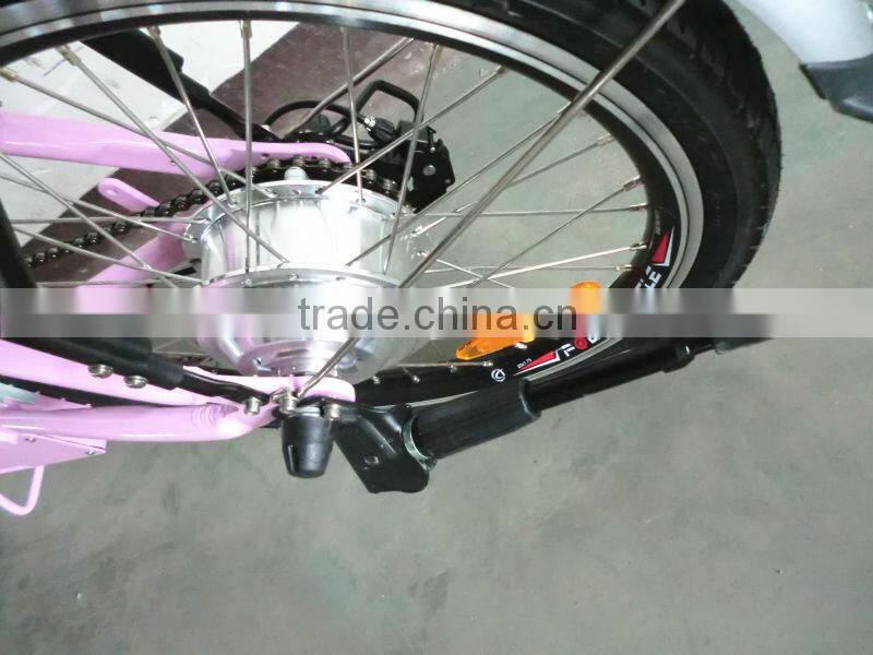 lithium battery folding electric bike
