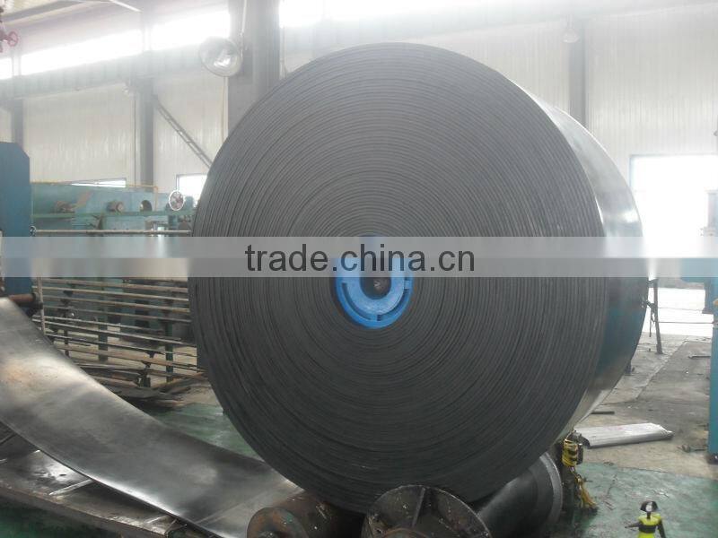 COMMON CONVEYOR BELT