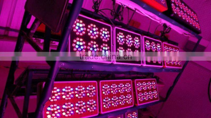 China Shenzhen Manufacturer High Quality 100W 200W 300W 500W 1000W 2000W 120W LED Plant Grow Light Factory
