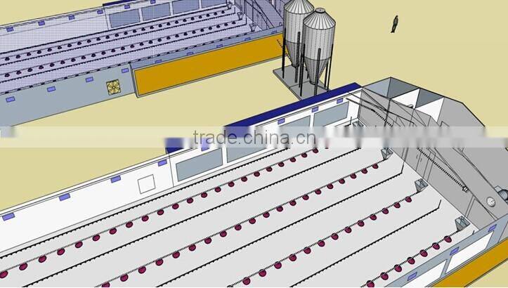 professional high quality broiler poultry farm shed design