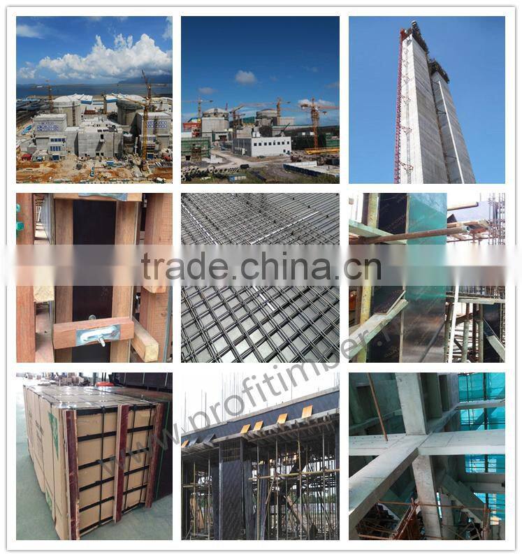 Building Construction Materials Concrete Shuttering Panel for Sale