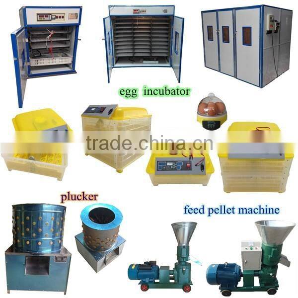 high quality stainless steel racing pigeon feeder , automatic pigeon feeder