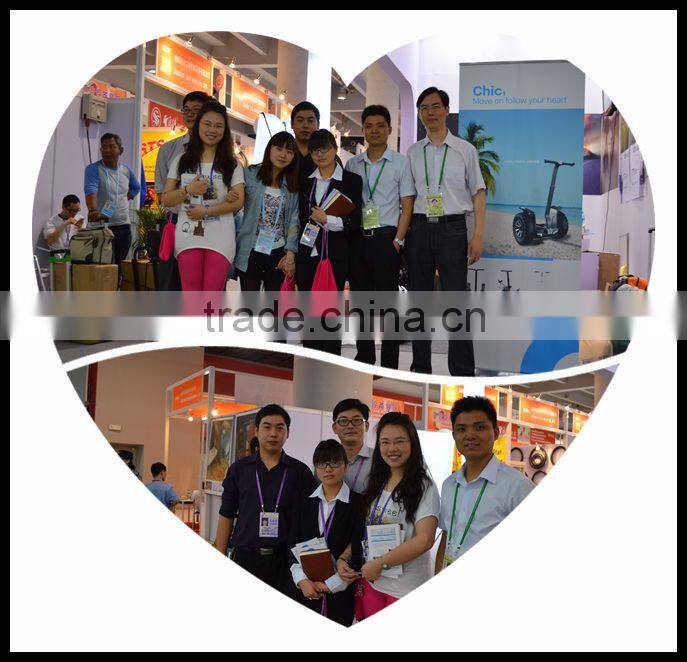 2016 NEW Product CHIC GOLF gas scooter stand up