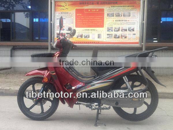 Motorcycle 2013 best-selling 110cc portable motorcyle(ZF110-A(IV))