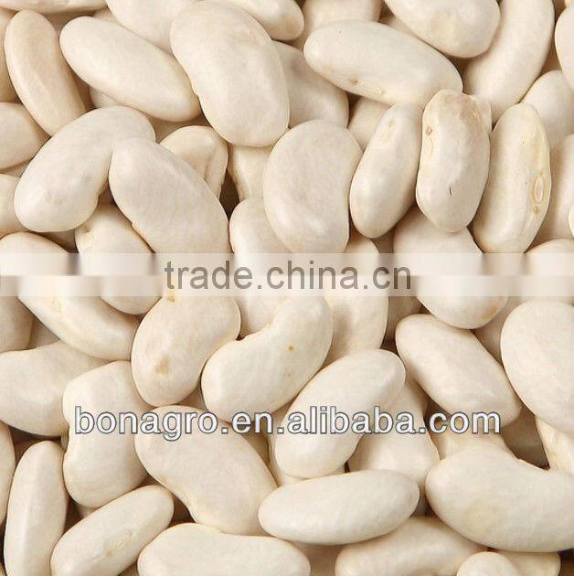 Wholesale Sunflower Seeds
