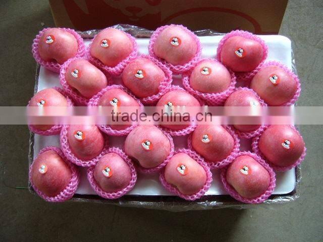 China Fresh Apple from Yantai small sizes