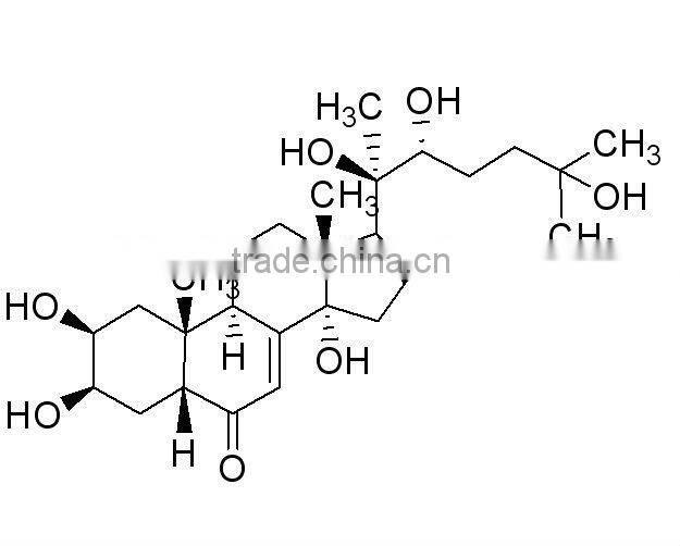 GMP Manufacturer Supply Natural Cyanotis Arachnoidea Extract