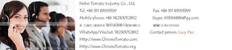 tube tomato paste with low price and high quality