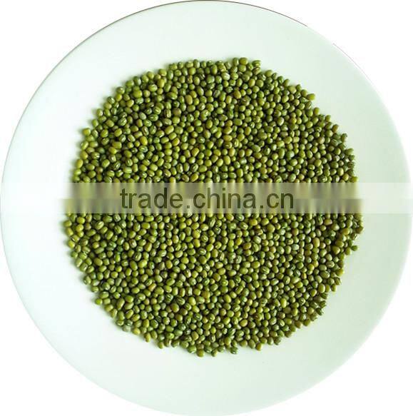 JSX New crop white beans tasty best quality navy white beans