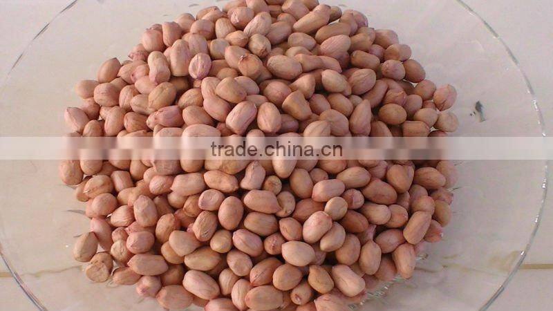 spilt blanched peanut