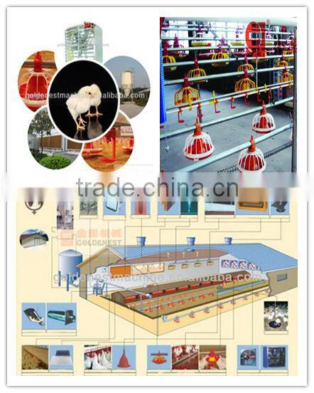 poultry automatic feeding and drinking system