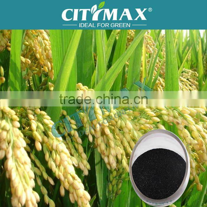 Mineral Powder for Paint