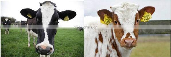 rfid uhf long range cow/cattle/sheep/goat/pig animal electronic ear tag
