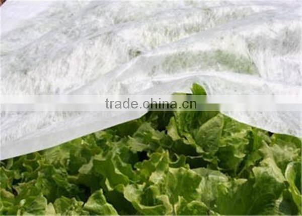 PP Biodegradable Nonwoven Weed Control Fabric Ground Mat