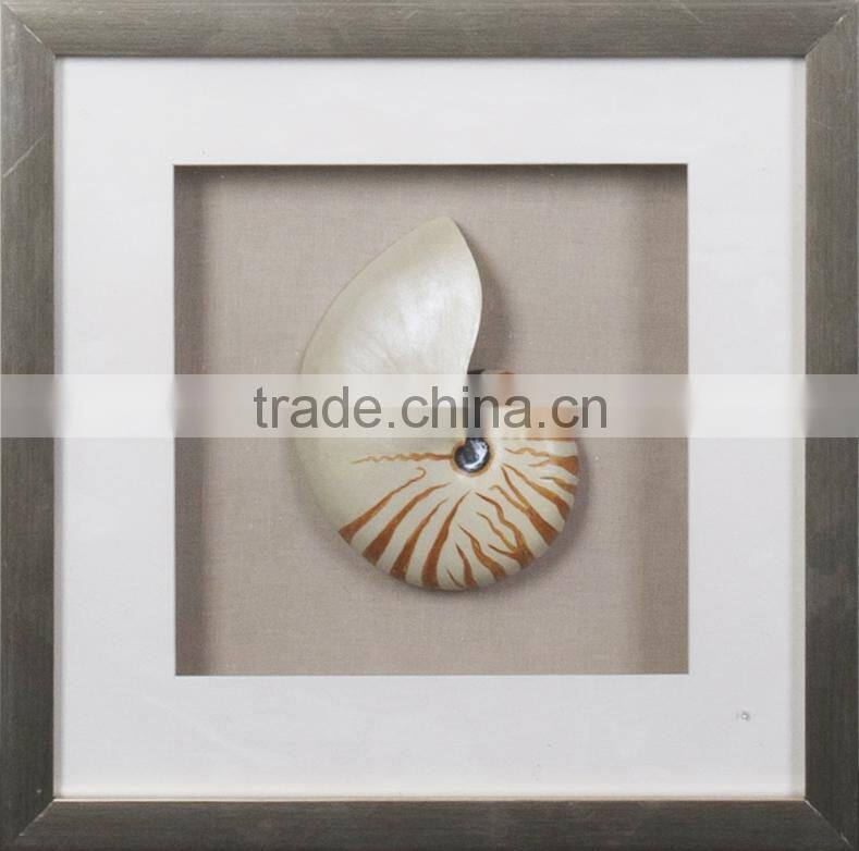 Chinese Nautilus Shells Graphic Art Shadow Box Gift Ideas Wall Decor