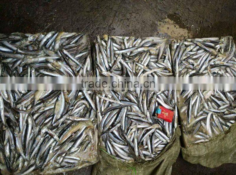 hot sales Land frozen anchovy