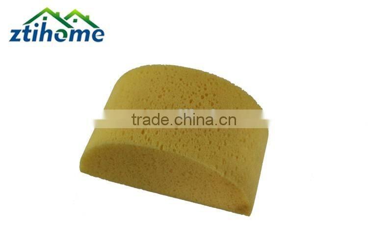 Turtleback Shape Washing Sponge for Car