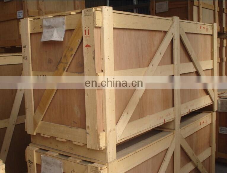 Fresh vegetable washing machines/green leaves vegetable washing machine for sale