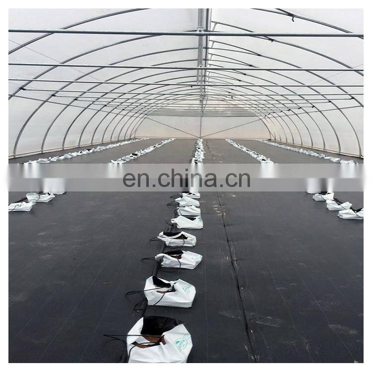 High quality cheap price agricultural indoor solar greenhouse frame with plastic sheet tent