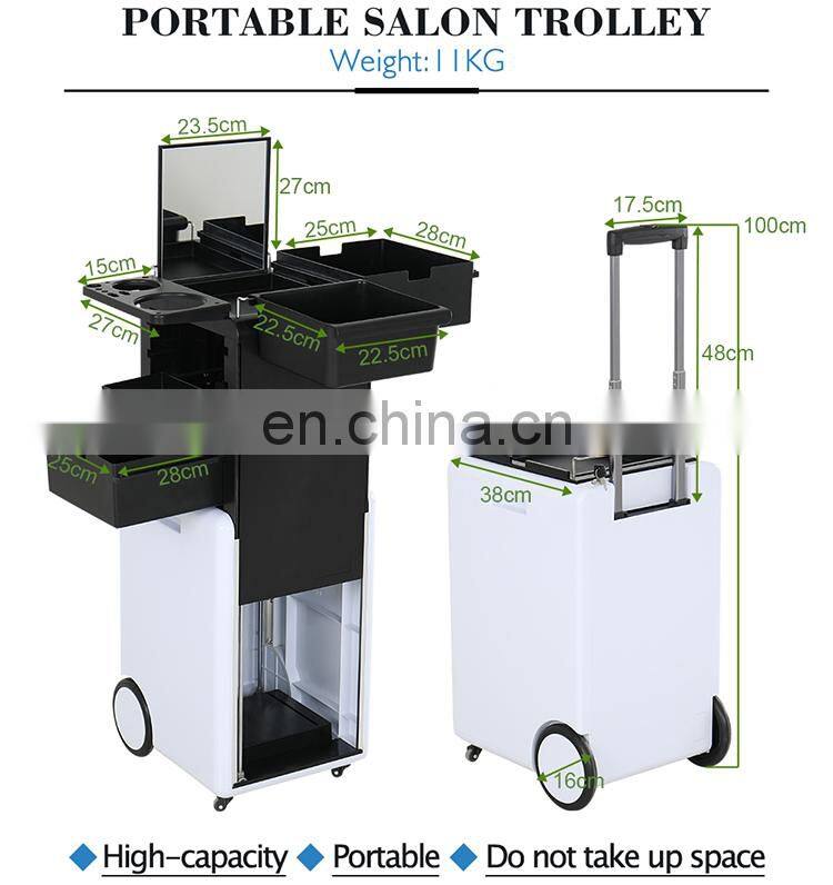 Cosmetic rolling makeup train case beauty hair salon equipment trolley travel case professional