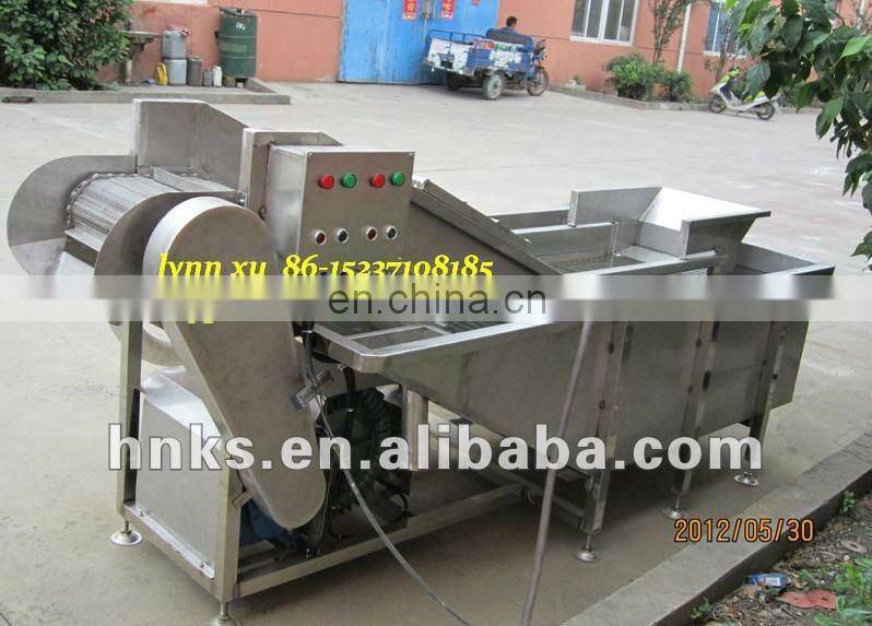 Automatic fruit washing machine for apple cherry eggplant