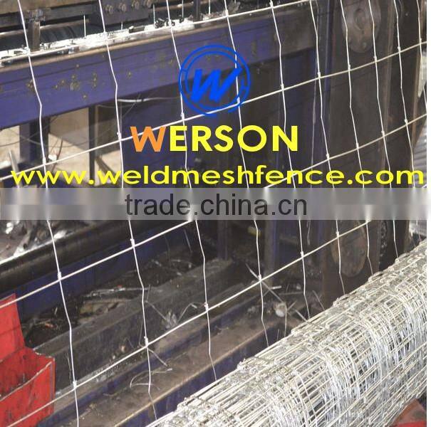 hot dipped galvanized Deer Fence ,deer control fence| werson fence