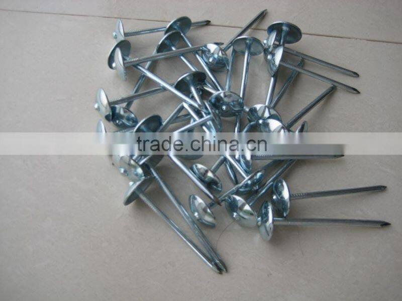 galvanized roofing nails with umbrella head/umbrella head nails /galvanzied roofing nail