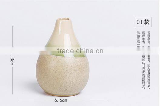 Mini Flower Vase Furnishing Articles HY167603